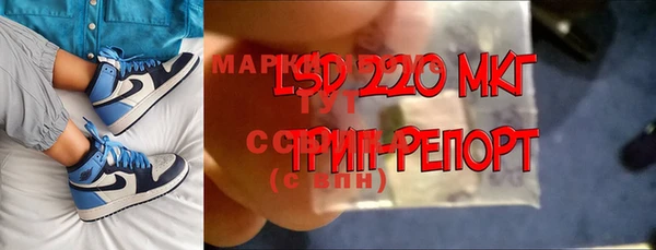 PSILOCYBIN Богданович