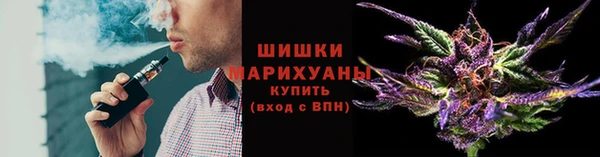 PSILOCYBIN Богданович