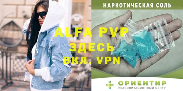гашик Арсеньев