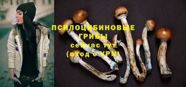 спиды Беломорск